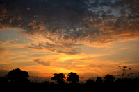 Selected Photos